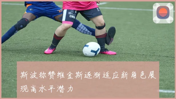 斯波称赞维金斯逐渐适应新角色展现高水平潜力