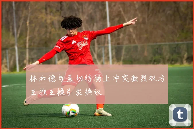 林加德与莱切特场上冲突激烈双方互推互搡引发热议