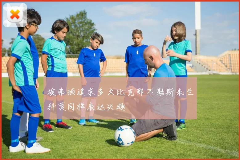 埃弗顿追求多夫比克那不勒斯米兰科莫同样表达兴趣