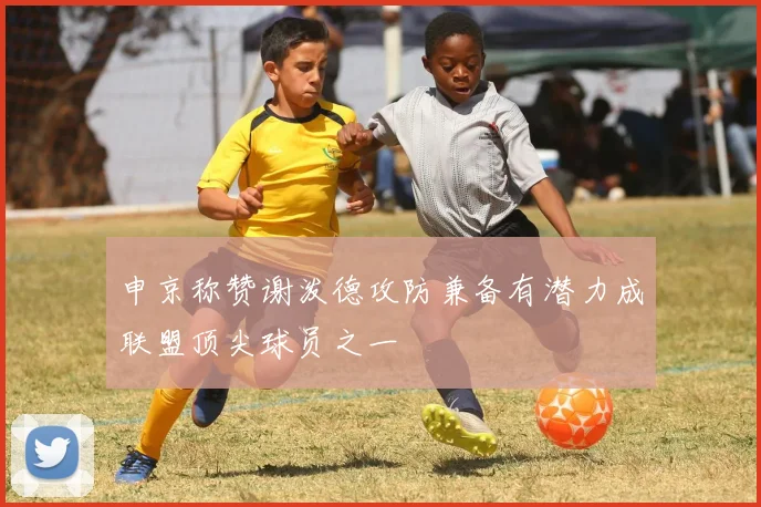 申京称赞谢泼德攻防兼备有潜力成联盟顶尖球员之一