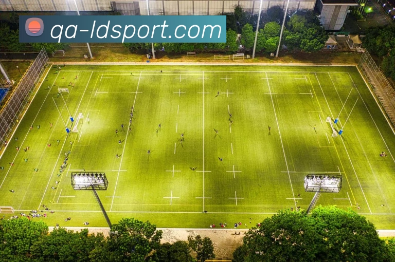 多媒体互动体验