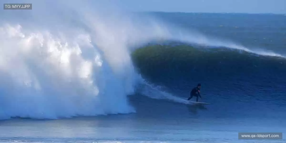 运动不止，装备先行！👟🔧 体育周边，细节决定胜负！